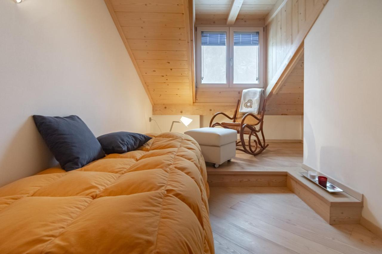 Dolomiapartments - Appartamento Orso Bruno เปรดัซโซ ภายนอก รูปภาพ